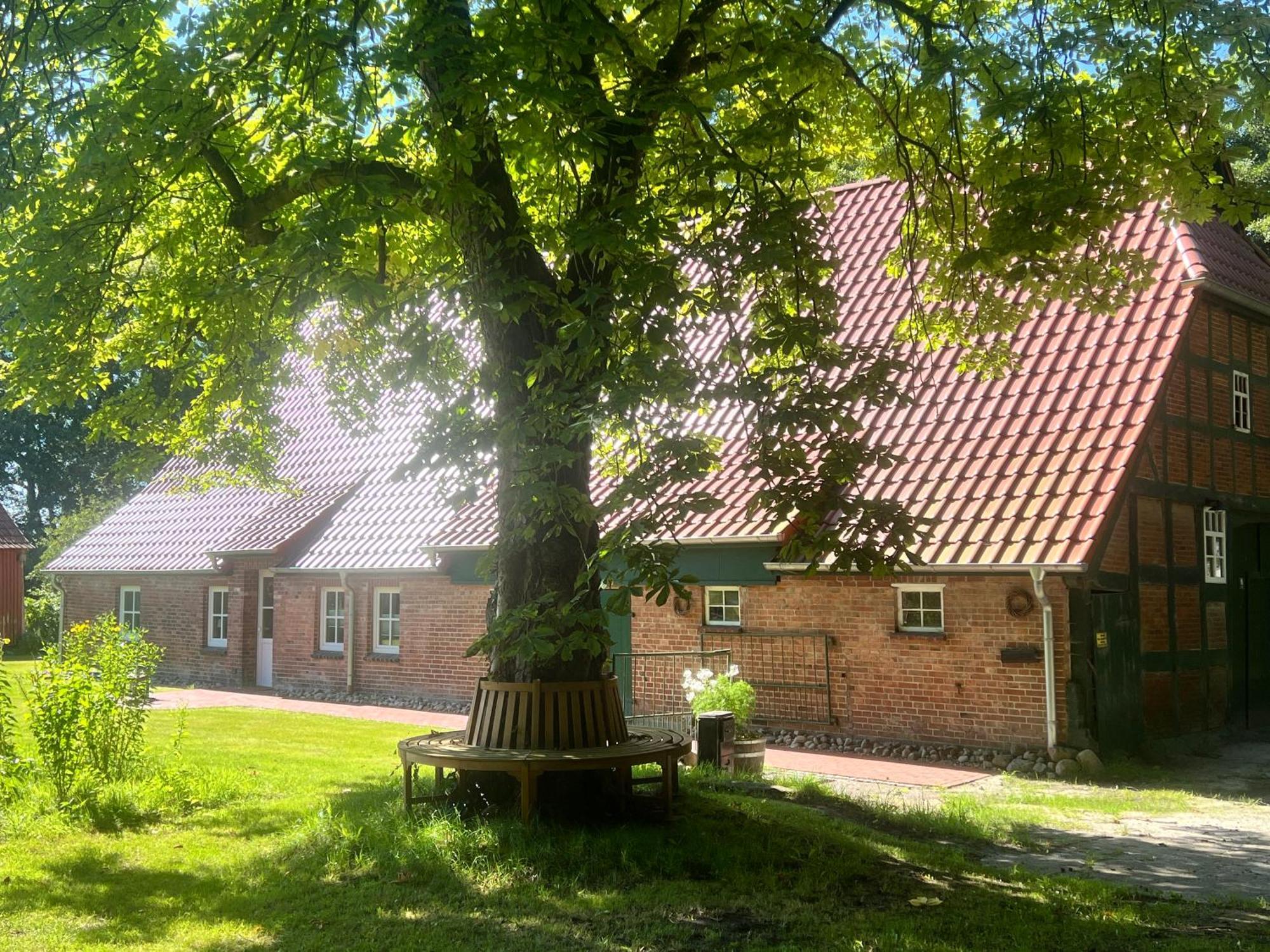 Ferienwohnung Mit Garten In Meyenburg - Keine Monteure Schwanewede Eksteriør billede